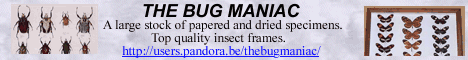 http://users.pandora.be/thebugmaniac/index.htm