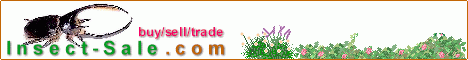http://www.insect-sale.com/