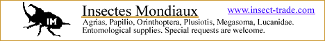 http://www.insect-trade.com/
