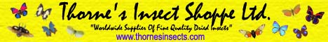 http://www.thornesinsects.com/en/index.html